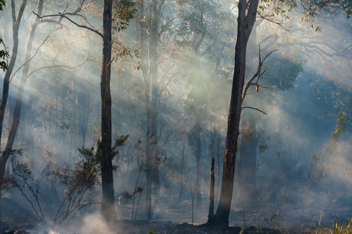 FireMapper portal background showing emergency response scene